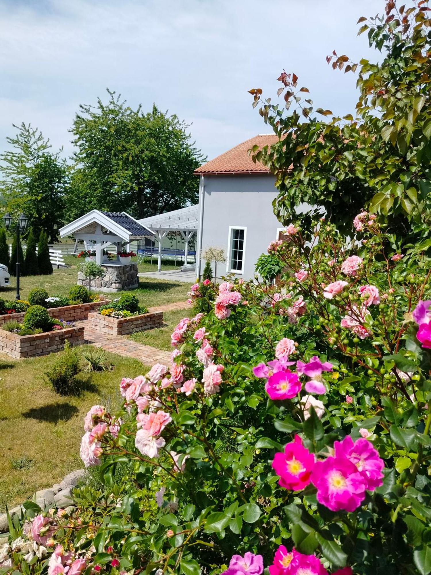 Agroturystyka Rybno Rybno  Ngoại thất bức ảnh